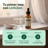 Tu primer mes con Linfozen, semana a semana