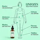 Dónde vas a notar Linfozen: rostro, cintura, abdomen, piernas, muslos y tobillos