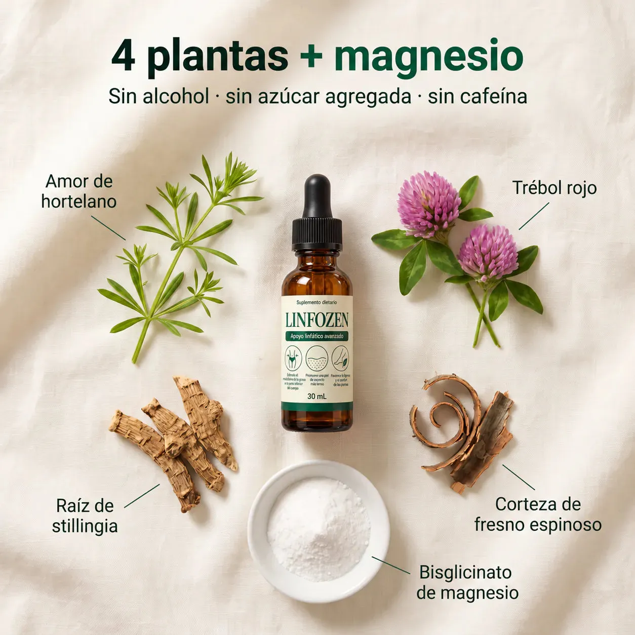 Ingredientes de Linfozen: 4 plantas y bisglicinato de magnesio